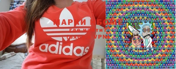 твердый Мурманск
