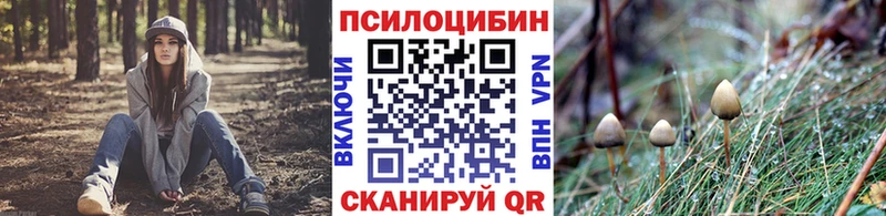 Галлюциногенные грибы прущие грибы  купить наркотик  Беслан 