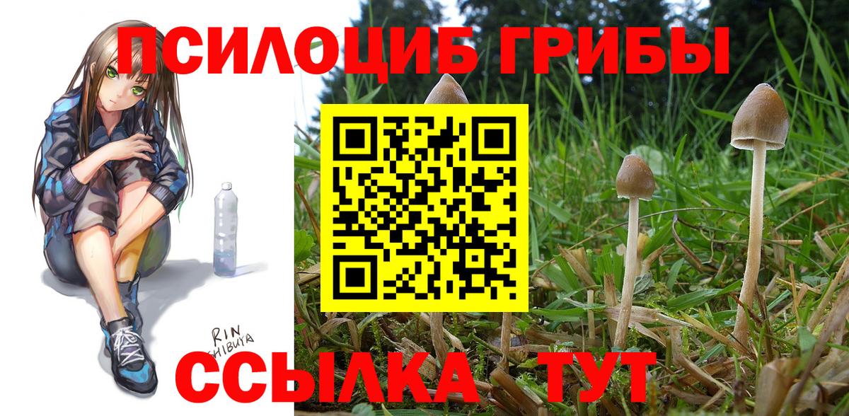 Codein Беслан