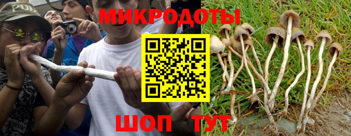 Галлюциногенные грибы Psilocybe Беслан