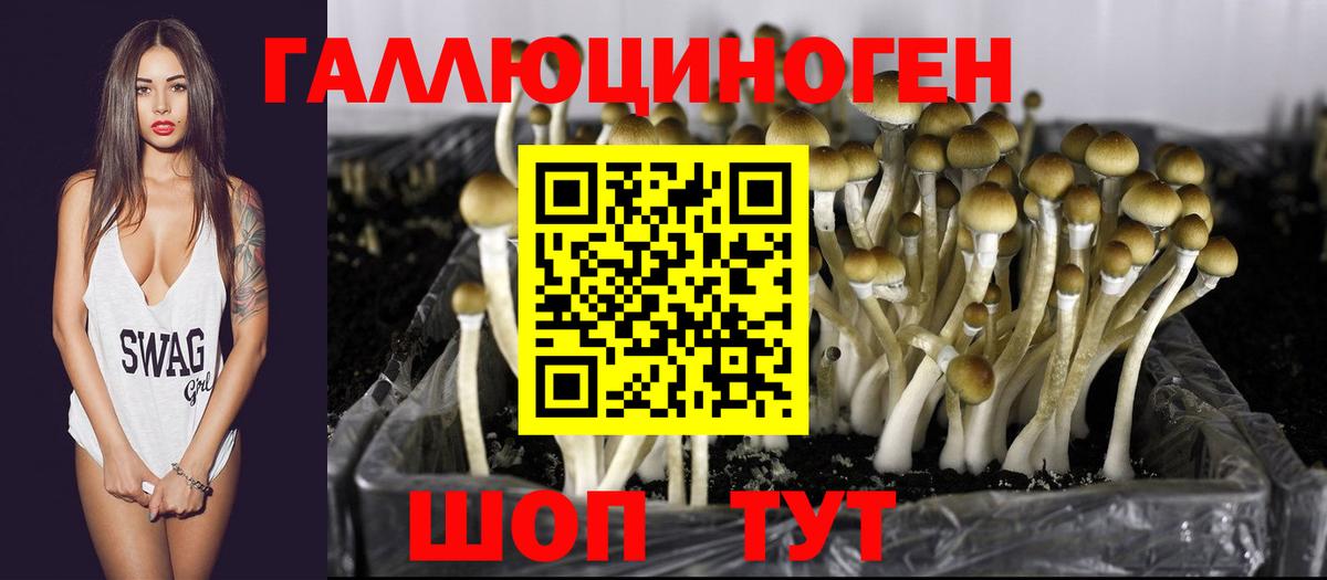 Галлюциногенные грибы MAGIC MUSHROOMS  Беслан 
